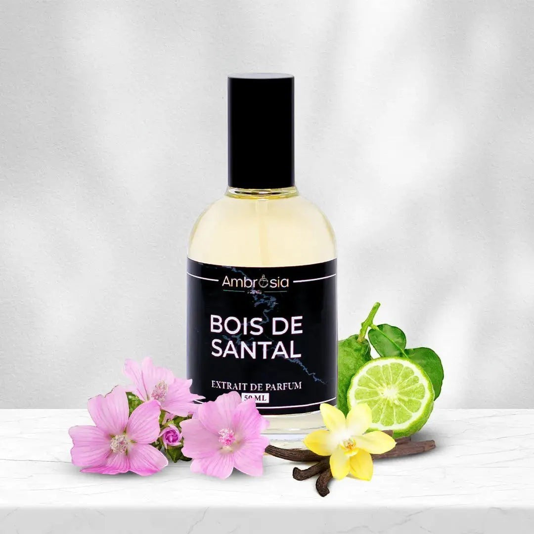 Ambrosia Scents Bois de Santal Extrait De Parfum 50ml, a woody, spicy fragrance with notes of sandalwood, vanilla, and bergamot.