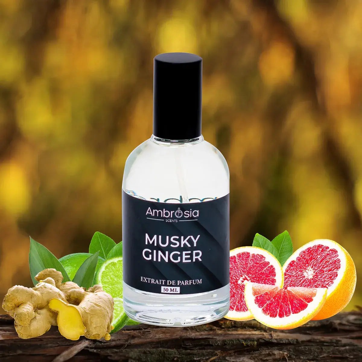 Ambrosia Scents Musky Ginger Eau De Parfum 50ml bottle with ginger, lime, and grapefruit accents.