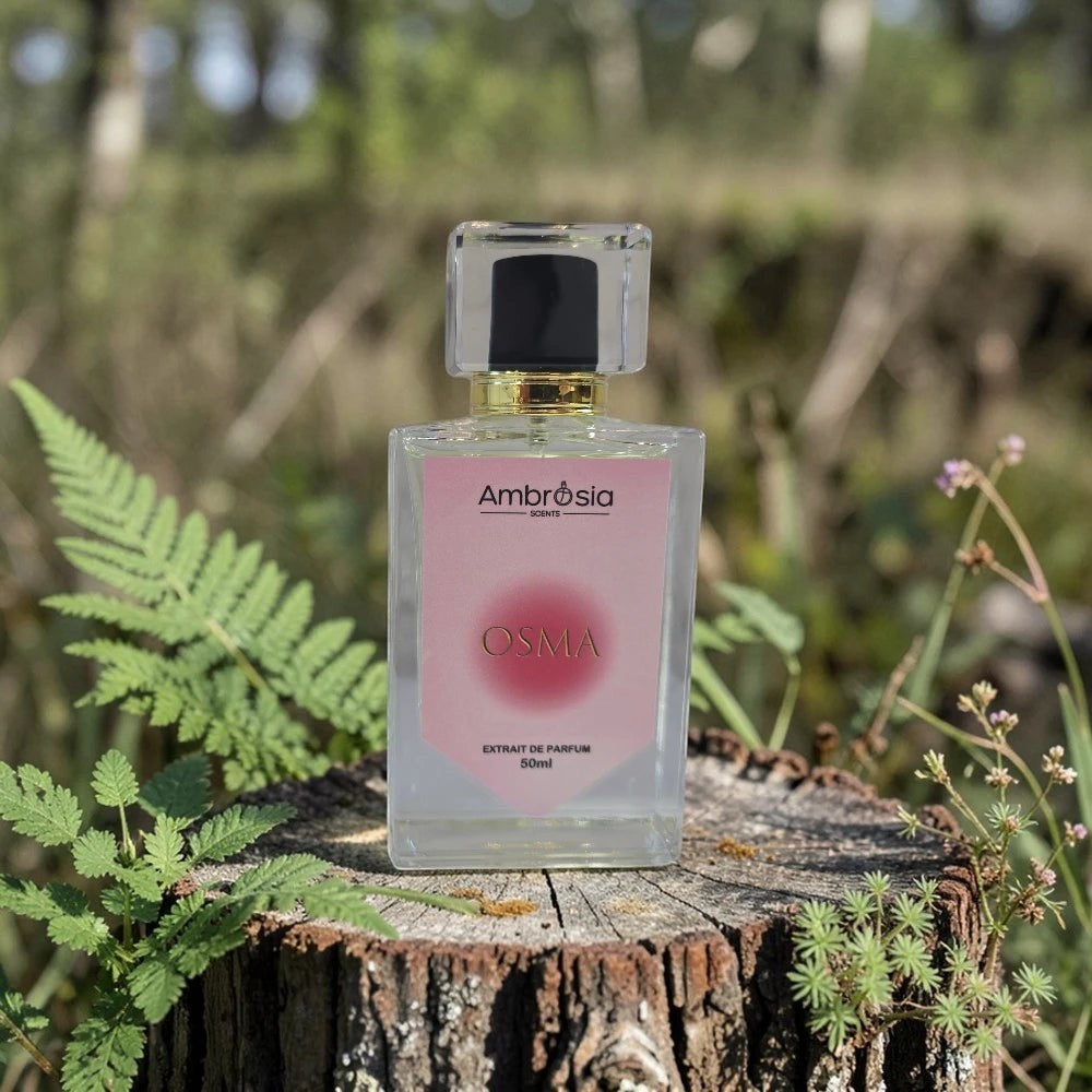 Ambrosia Scents Osma Extrait De Parfum for Women, floral and fruity fragrance, 50ml bottle.