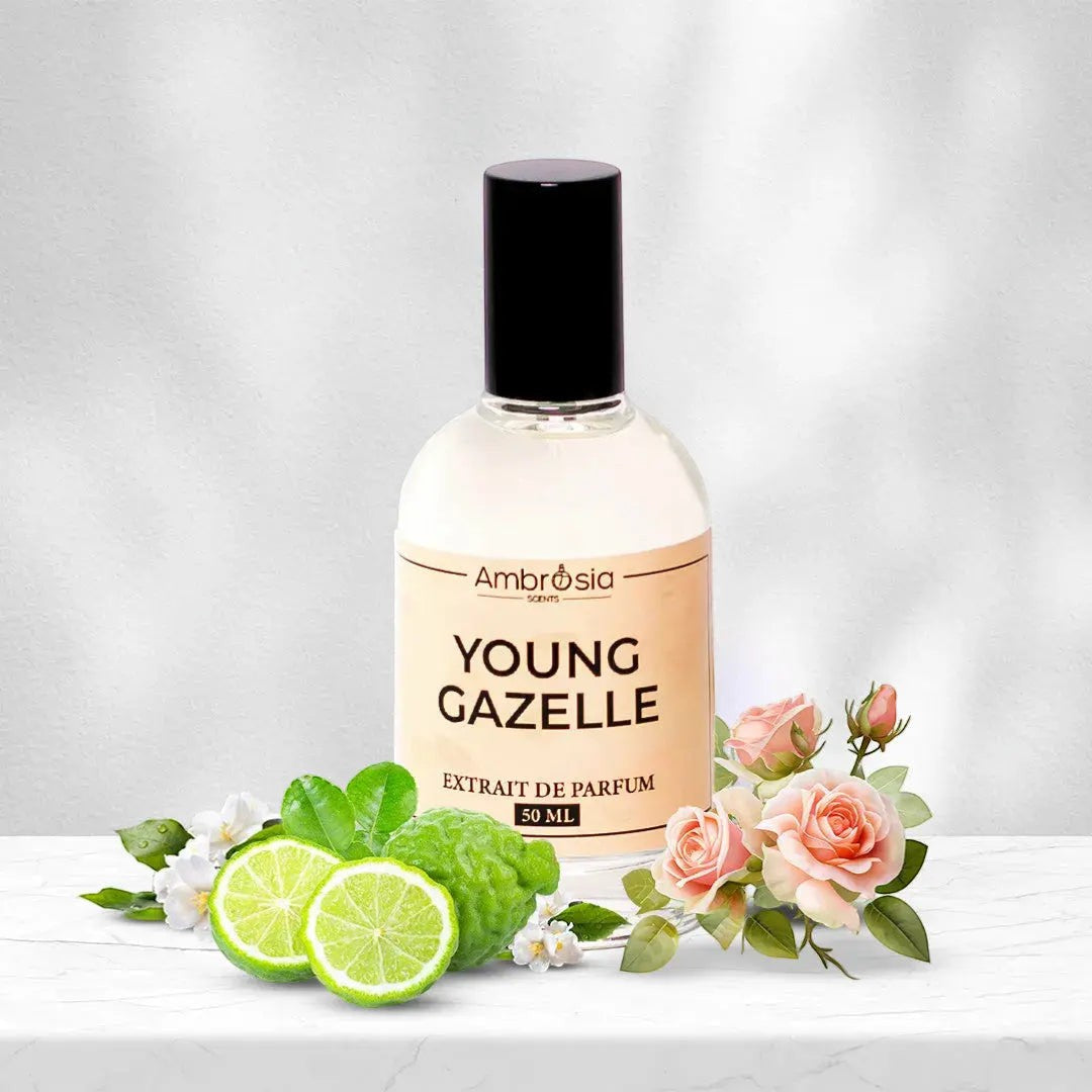 Ambrosia Scents Young Gazelle Extrait De Parfum 50ml bottle with bergamot and roses. Citrus floral fragrance.