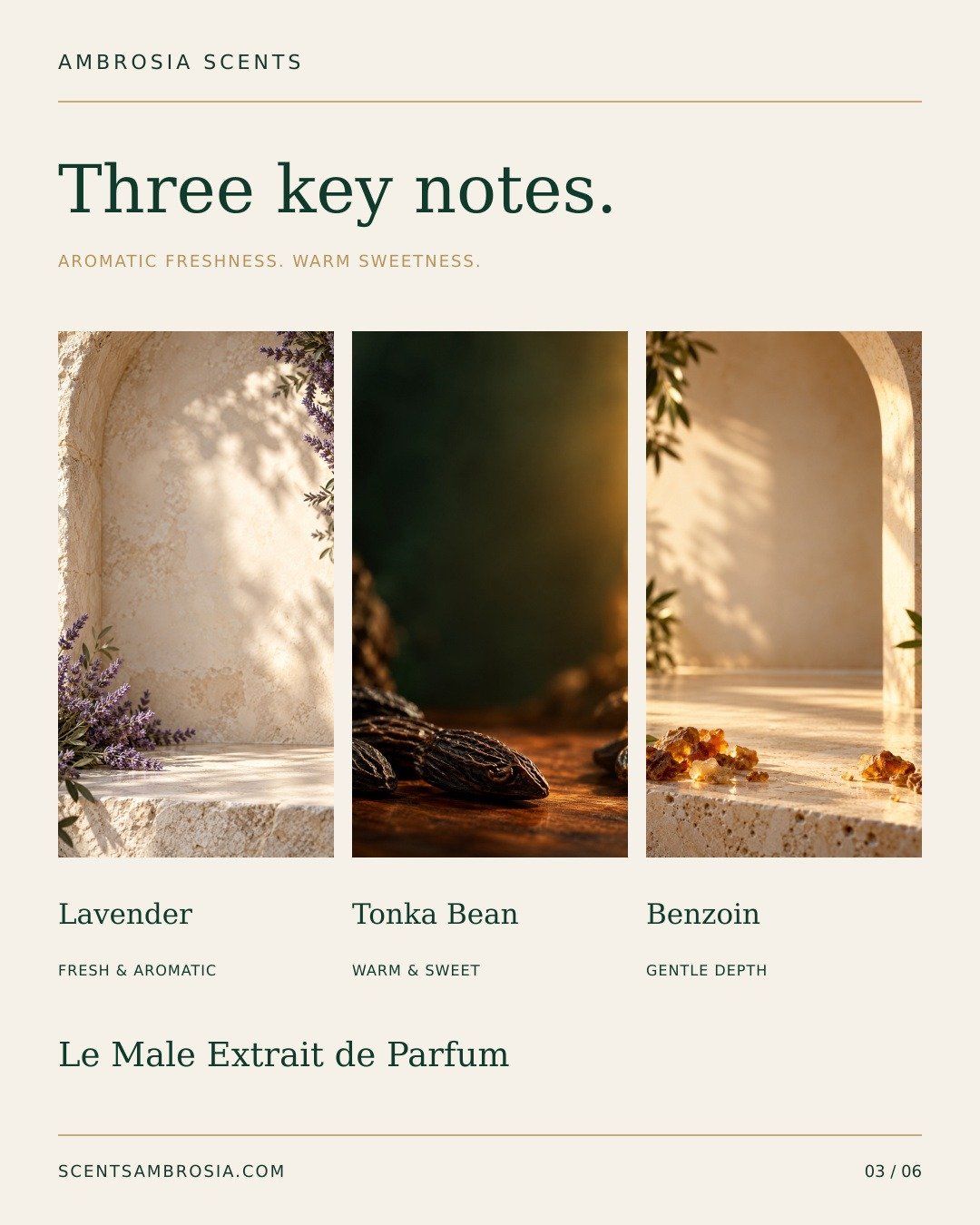Le Male fragrance notes lavender tonka bean benzoin